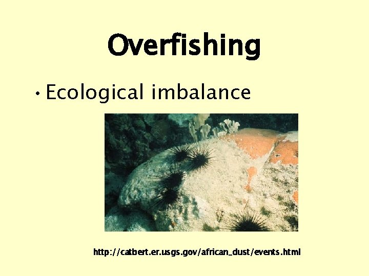 Overfishing • Ecological imbalance http: //catbert. er. usgs. gov/african_dust/events. html 