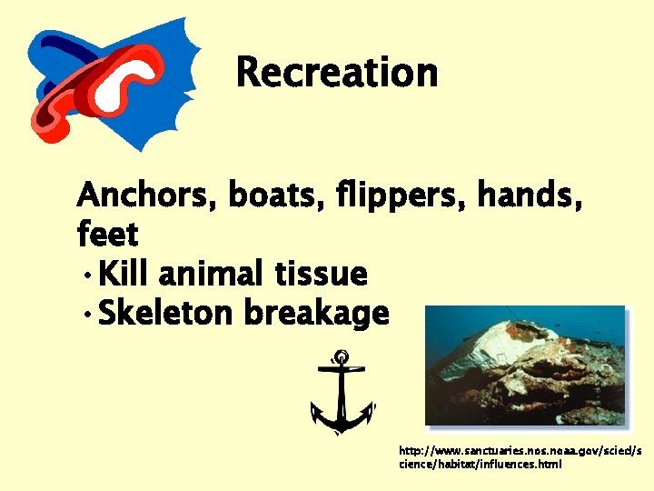 Recreation Anchors, boats, flippers, hands, feet • Kill animal tissue • Skeleton breakage http: