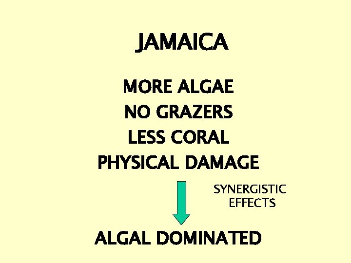 JAMAICA MORE ALGAE NO GRAZERS LESS CORAL PHYSICAL DAMAGE SYNERGISTIC EFFECTS ALGAL DOMINATED 