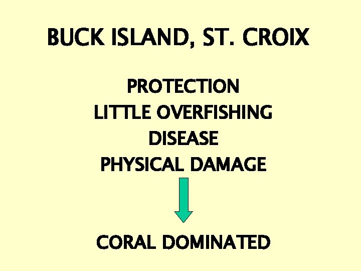 BUCK ISLAND, ST. CROIX PROTECTION LITTLE OVERFISHING DISEASE PHYSICAL DAMAGE CORAL DOMINATED 