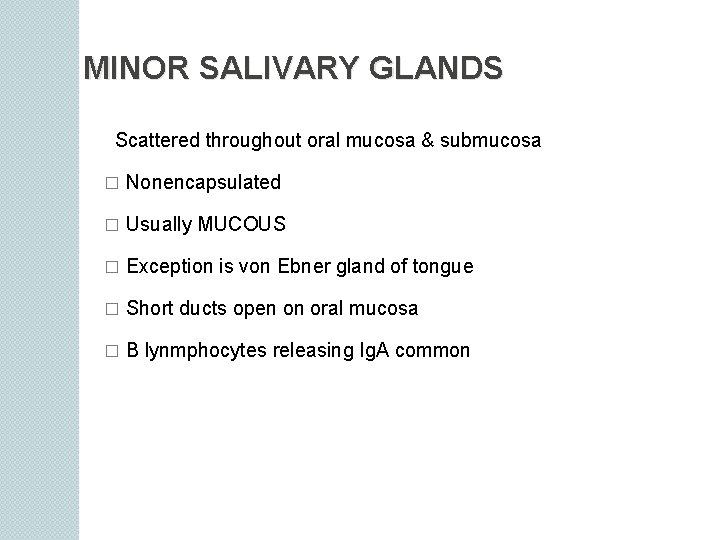 MINOR SALIVARY GLANDS Scattered throughout oral mucosa & submucosa � Nonencapsulated � Usually MUCOUS