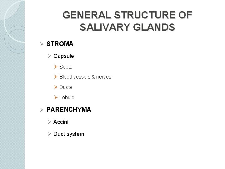 GENERAL STRUCTURE OF SALIVARY GLANDS Ø STROMA Ø Capsule Ø Septa Ø Blood vessels