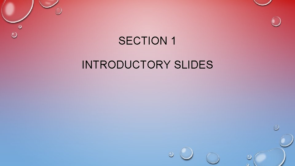 SECTION 1 INTRODUCTORY SLIDES 