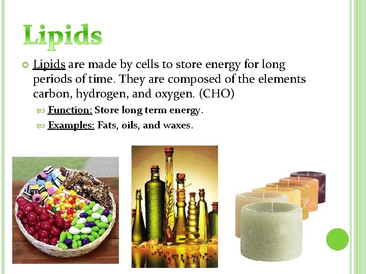  Lipids are made by cells to store energy for long periods of time.