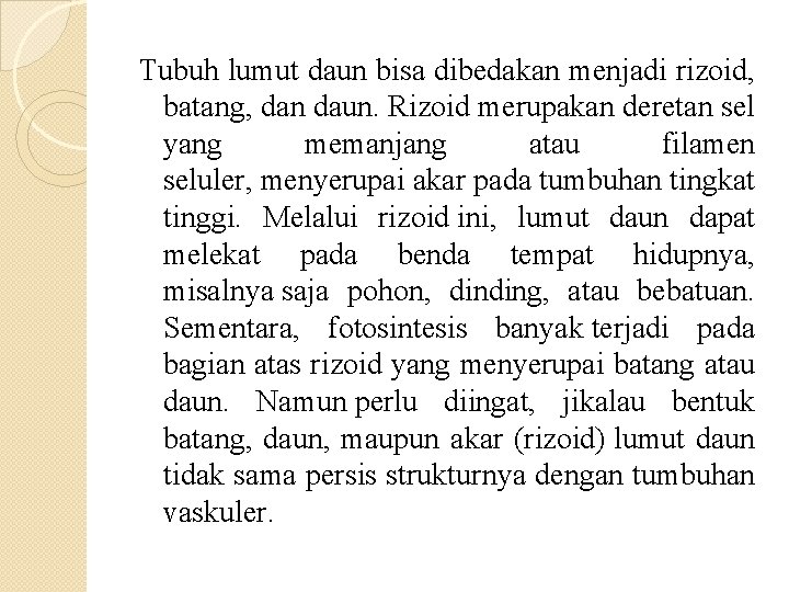 Tubuh lumut daun bisa dibedakan menjadi rizoid, batang, dan daun. Rizoid merupakan deretan sel