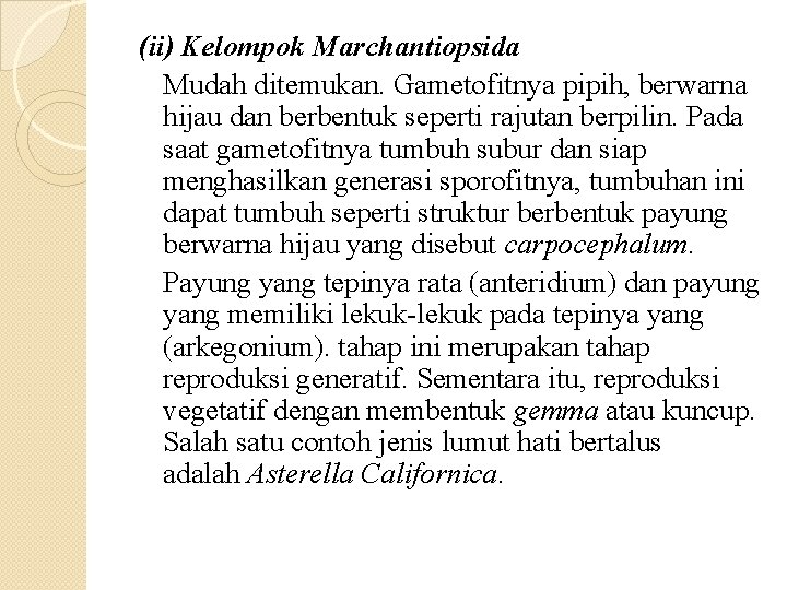 (ii) Kelompok Marchantiopsida Mudah ditemukan. Gametofitnya pipih, berwarna hijau dan berbentuk seperti rajutan berpilin.