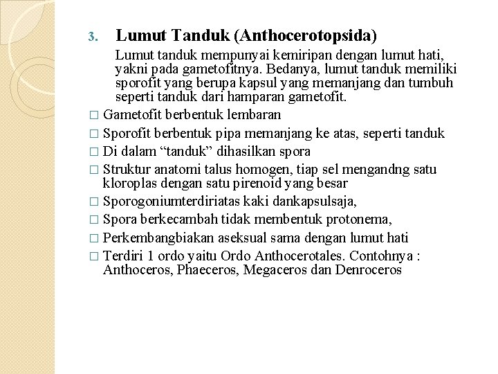 3. Lumut Tanduk (Anthocerotopsida) Lumut tanduk mempunyai kemiripan dengan lumut hati, yakni pada gametofitnya.