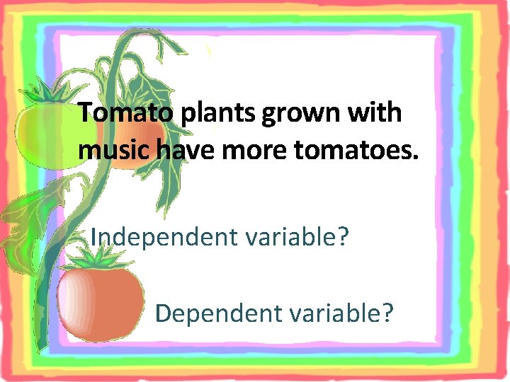 Tomato plants grown with music have more tomatoes. Independent variable? Dependent variable? 