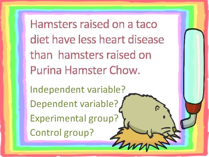 Hamsters raised on a taco diet have less heart disease than hamsters raised on