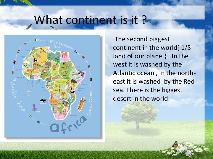 What continent is it ? The second biggest continent in the world( 1/5 land