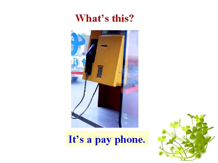 What’s this? It’s a pay phone. 
