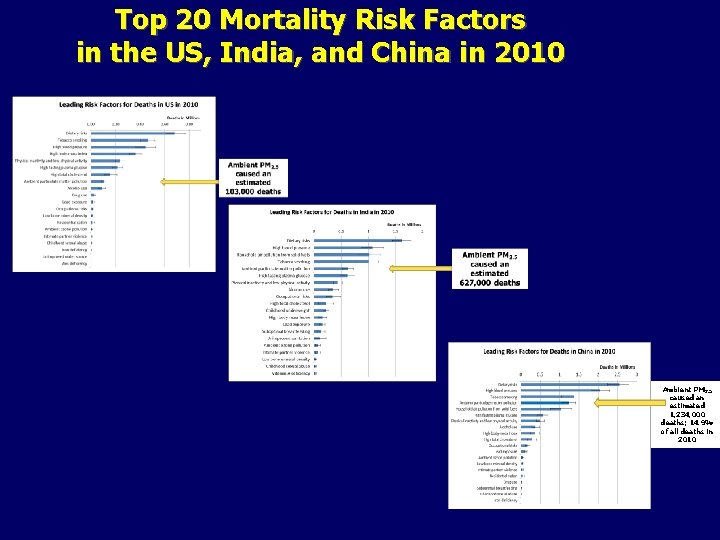 Top 20 Mortality Risk Factors in the US, India, and China in 2010 Ambient