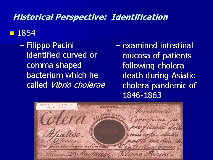 Historical Perspective: Identification n 1854 – Filippo Pacini identified curved or comma shaped bacterium