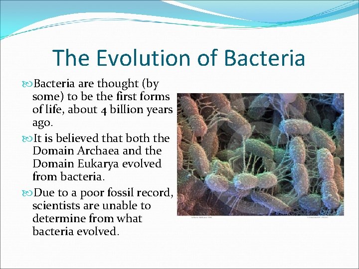 The Evolution of Bacteria are thought (by some) to be the first forms of