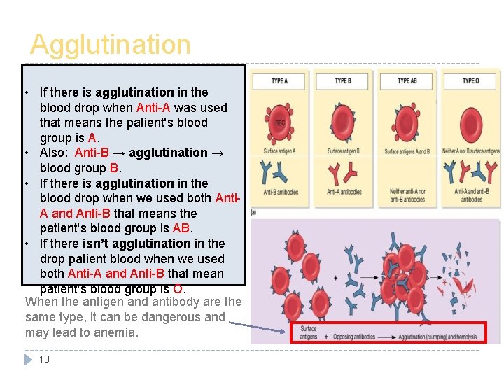 Agglutination • If there is agglutination in the blood drop when Anti-A was used