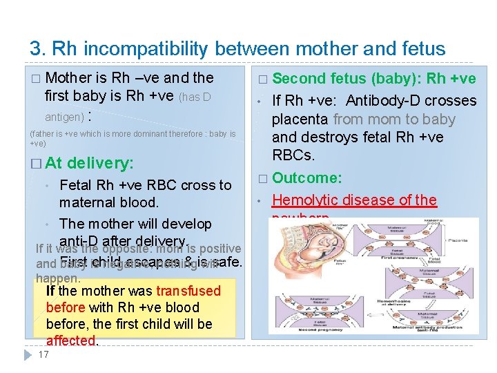 3. Rh incompatibility between mother and fetus � Mother is Rh –ve and the