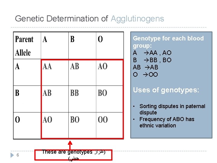 Genetic Determination of Agglutinogens Genotype for each blood group: A AA , AO B