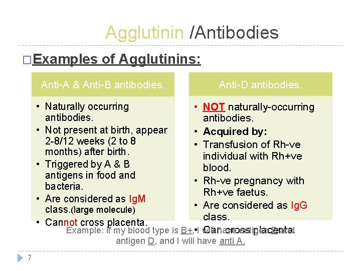 Agglutinin /Antibodies �Examples of Agglutinins: Anti-A & Anti-B antibodies. Anti-D antibodies. • NOT naturally-occurring