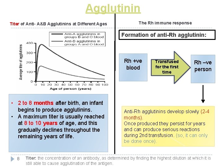 Agglutinin Titer of Anti- A&B Agglutinins at Different Ages The Rh immune response Formation