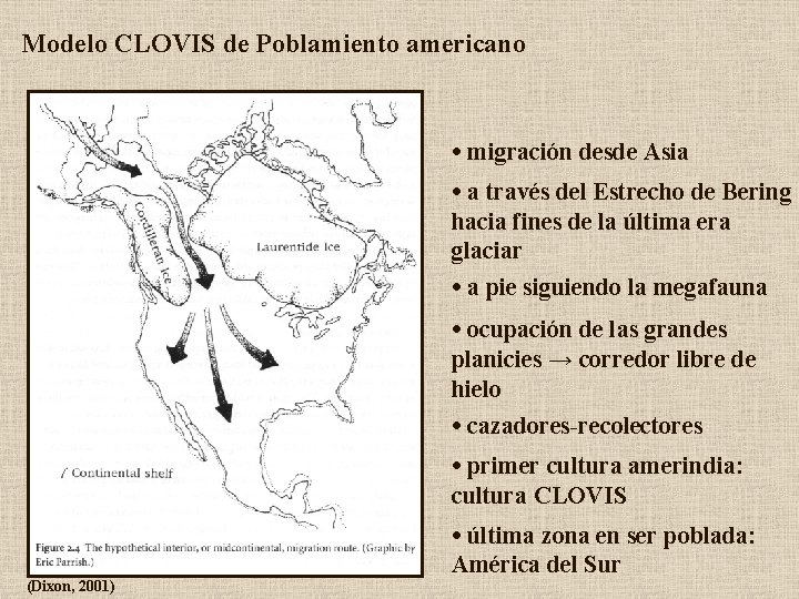 Modelo CLOVIS de Poblamiento americano • migración desde Asia • a través del Estrecho