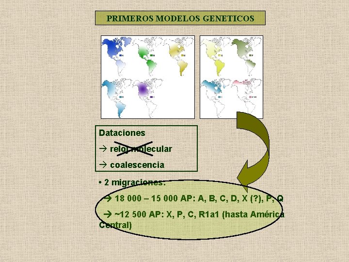 PRIMEROS MODELOS GENETICOS Dataciones reloj molecular coalescencia • 2 migraciones: 18 000 – 15