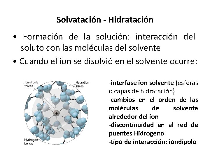 Solvatación - Hidratación • Formación de la solución: interacción del soluto con las moléculas