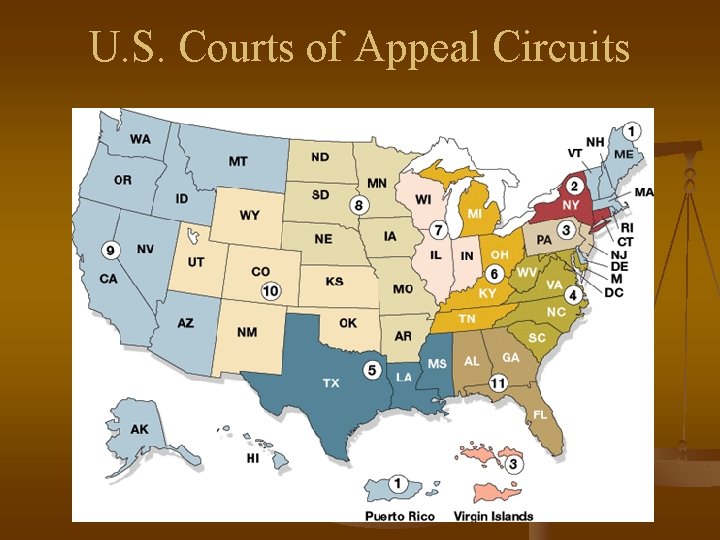 U. S. Courts of Appeal Circuits 