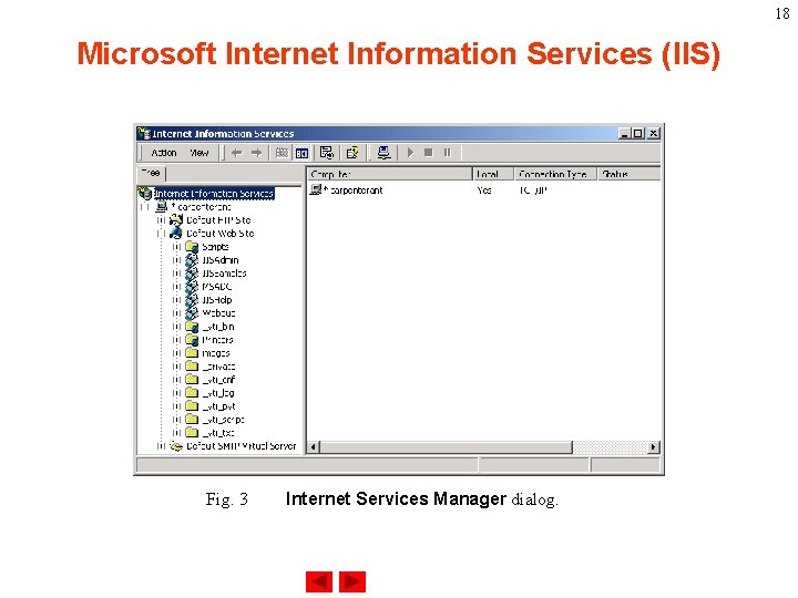18 Microsoft Internet Information Services (IIS) Fig. 3 Internet Services Manager dialog. 
