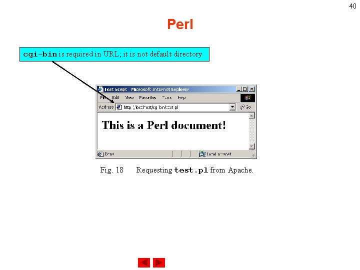 40 Perl cgi-bin is required in URL; it is not default directory Fig. 18