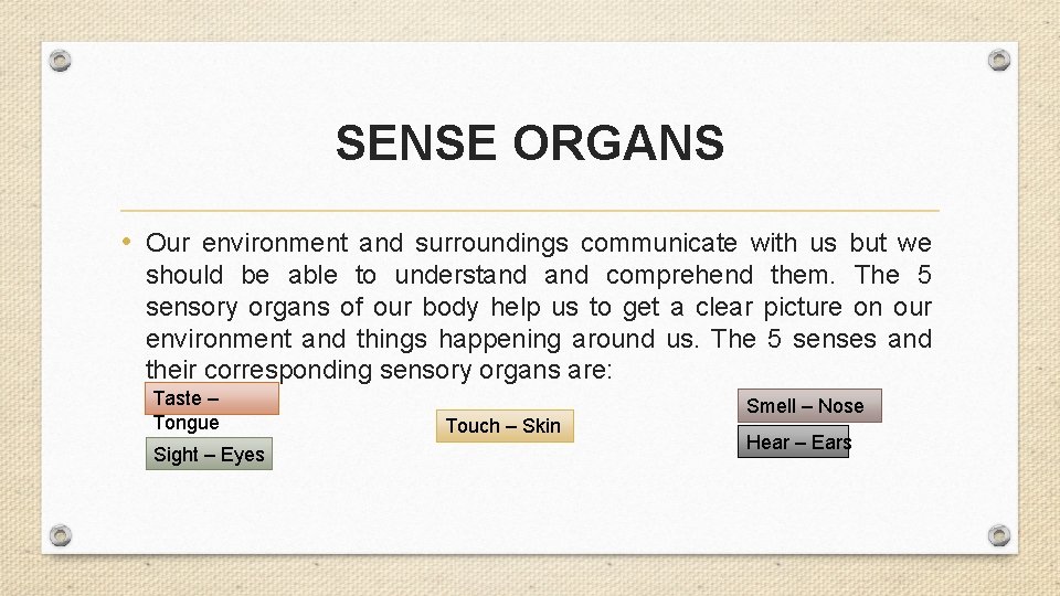 SENSE ORGANS • Our environment and surroundings communicate with us but we should be