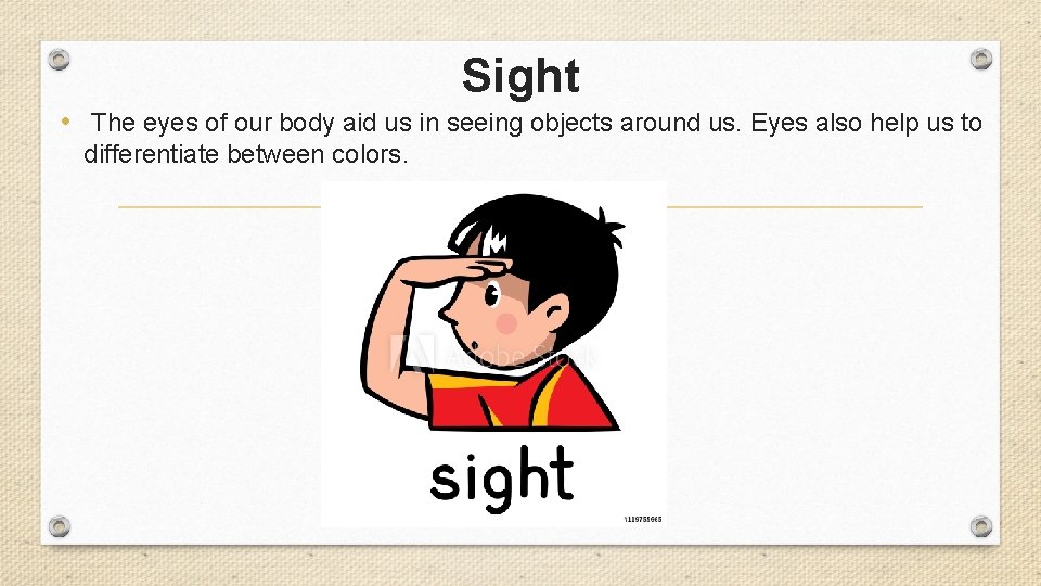 Sight • The eyes of our body aid us in seeing objects around us.