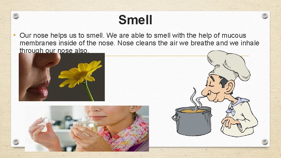 Smell • Our nose helps us to smell. We are able to smell with