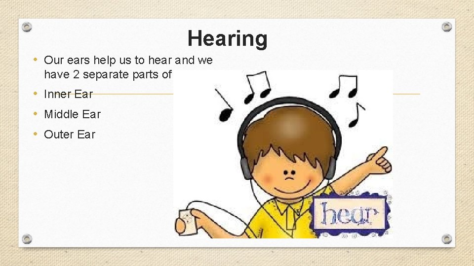 Hearing • Our ears help us to hear and we have 2 separate parts