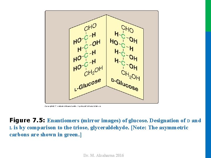 Dr. M. Alzaharna 2016 Figure 7. 5: Enantiomers (mirror images) of glucose. Designation of
