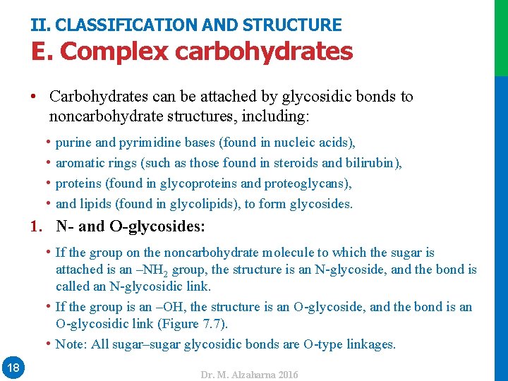 II. CLASSIFICATION AND STRUCTURE E. Complex carbohydrates • Carbohydrates can be attached by glycosidic