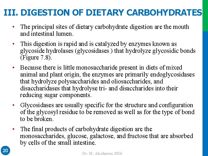 III. DIGESTION OF DIETARY CARBOHYDRATES • The principal sites of dietary carbohydrate digestion are
