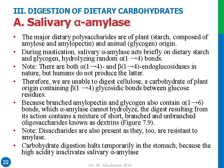 III. DIGESTION OF DIETARY CARBOHYDRATES • The major dietary polysaccharides are of plant (starch,