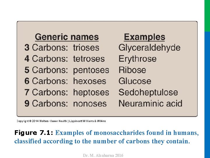 classified according to the number of carbons they contain. Dr. M. Alzaharna 2016 Figure