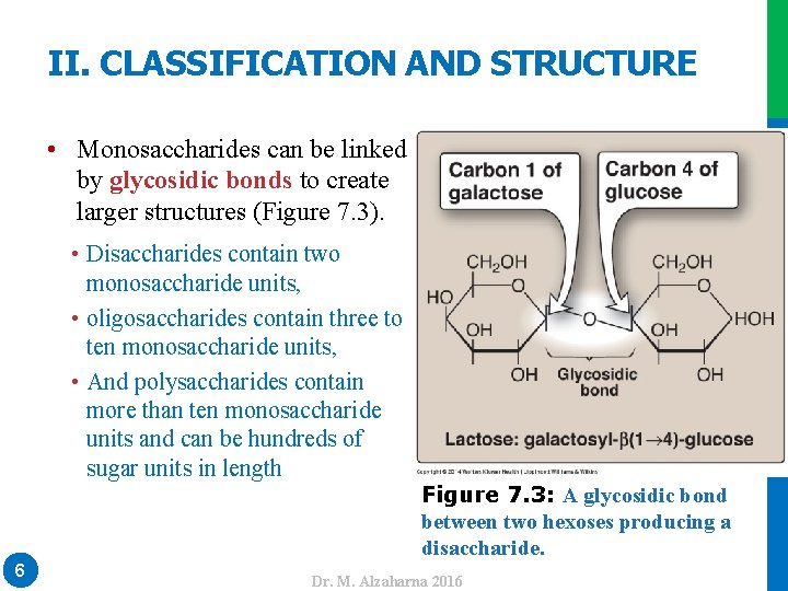 II. CLASSIFICATION AND STRUCTURE • Disaccharides contain two monosaccharide units, • oligosaccharides contain three