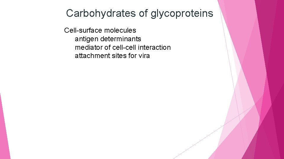 Carbohydrates of glycoproteins Cell-surface molecules antigen determinants mediator of cell-cell interaction attachment sites for