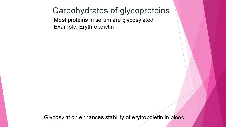 Carbohydrates of glycoproteins Most proteins in serum are glycosylated Example: Erythropoietin Glycosylation enhances stability