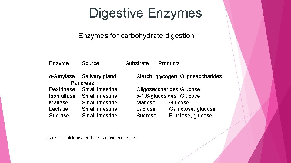 Digestive Enzymes for carbohydrate digestion Enzyme Source α-Amylase Salivary gland Pancreas Dextrinase Small intestine