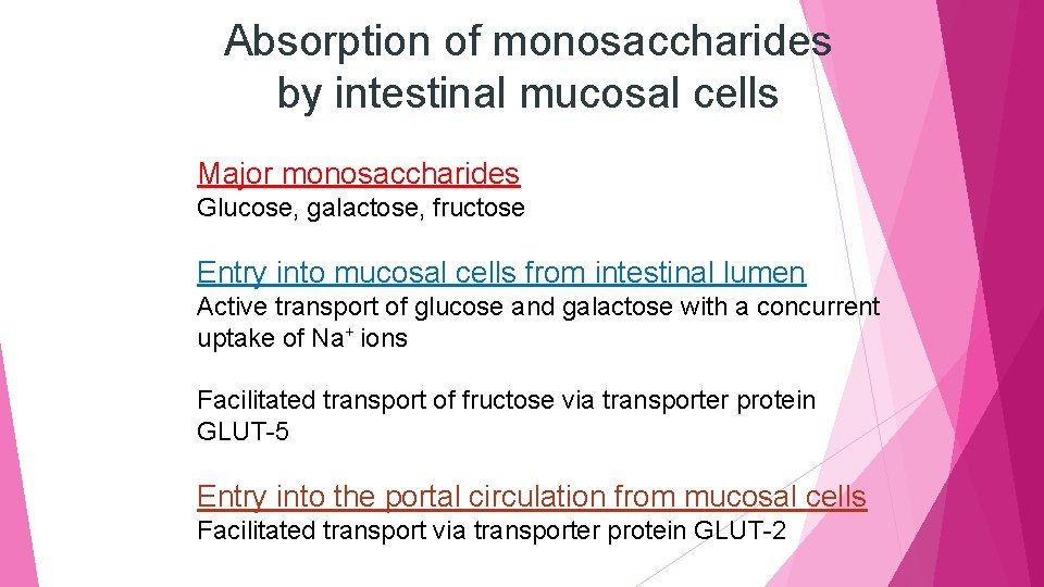 Absorption of monosaccharides by intestinal mucosal cells Major monosaccharides Glucose, galactose, fructose Entry into