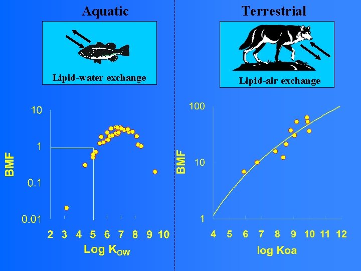 Aquatic Lipid-water exchange Terrestrial Lipid-air exchange 