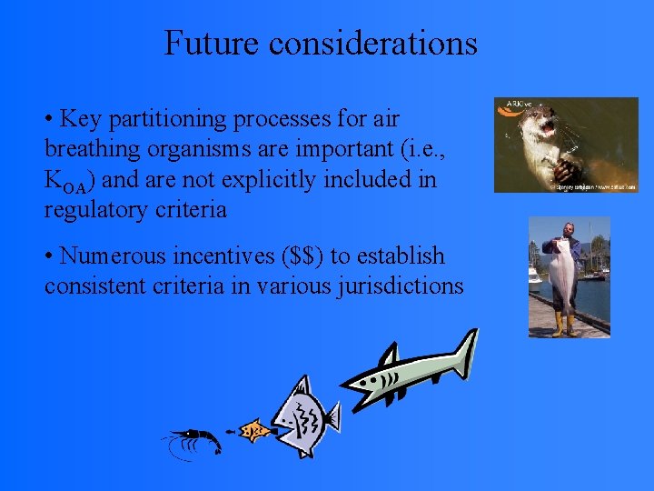 Future considerations • Key partitioning processes for air breathing organisms are important (i. e.