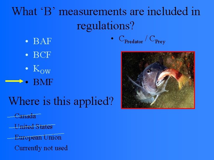 What ‘B’ measurements are included in regulations? • • BAF BCF KOW BMF •