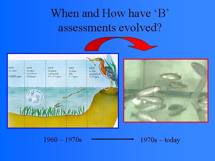 When and How have ‘B’ assessments evolved? 1960 – 1970 s – today 