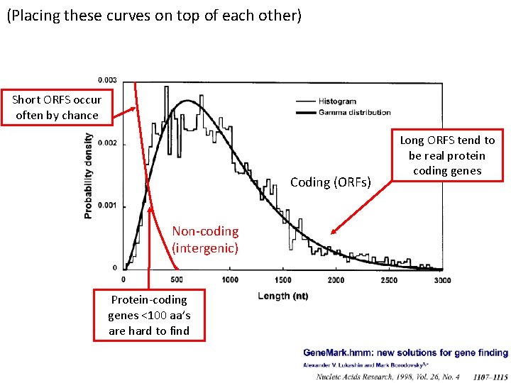 (Placing these curves on top of each other) Short ORFS occur often by chance