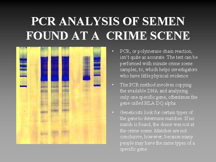 PCR ANALYSIS OF SEMEN FOUND AT A CRIME SCENE • PCR, or polymerase chain