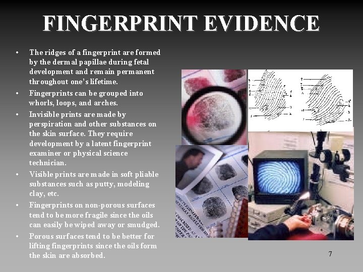 FINGERPRINT EVIDENCE • • • The ridges of a fingerprint are formed by the